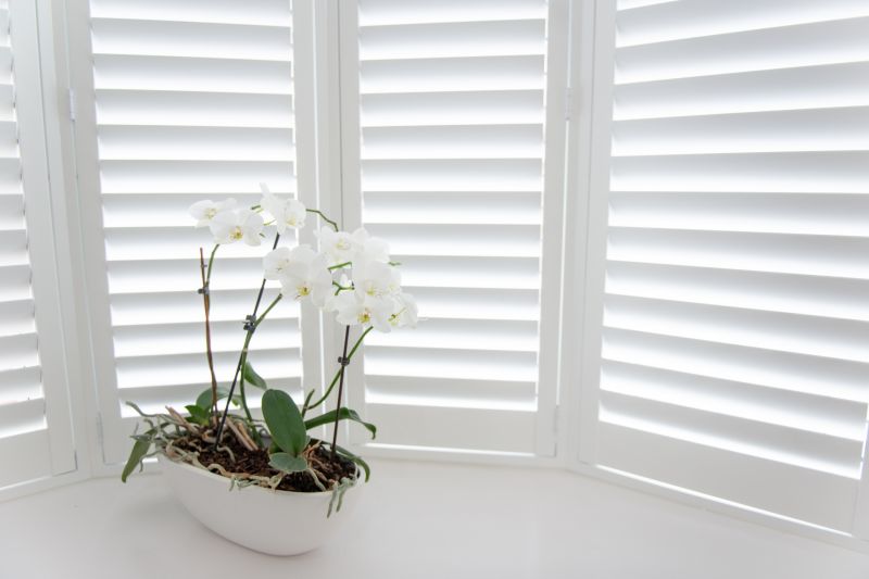 Shutter Mounting in Boulder, CO
