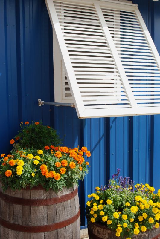 Window Shutters Replacement in Arvada, CO